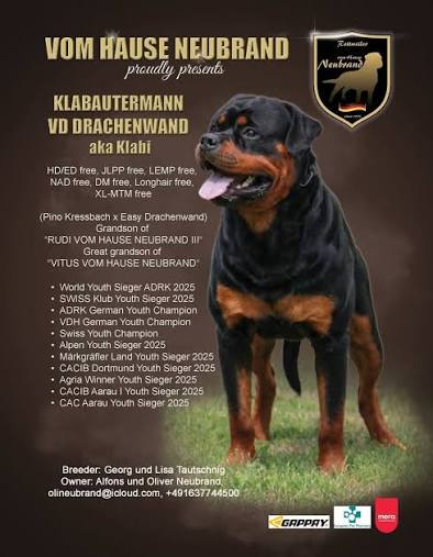 Klabautermann von der Drachenwand (“Klabi”), ficha de títulos y salud